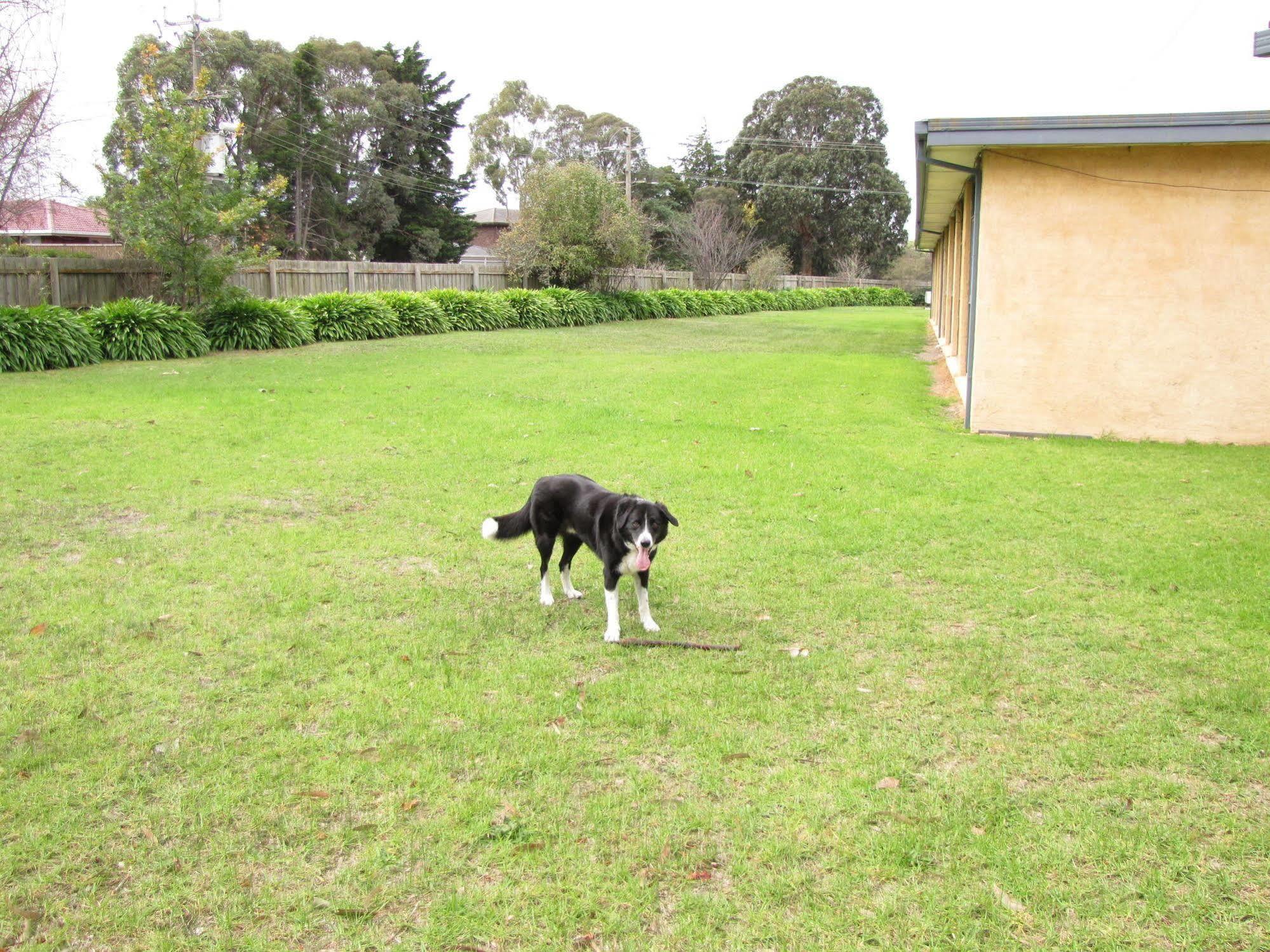 Motel Traralgon Kültér fotó